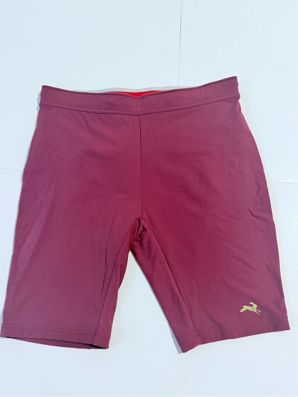 Tracksmith Allston Long Running Shorts Size L Burgundy $160 Retail